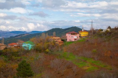 Gynk, Bolu 'nun büyüleyici bölge; Anadolu' nun eski evleri, yeşil doğası, kaplıcaları ve lezzetli mutfağıyla ziyaretçilerin sıcaklığını hissetmesini sağlar..