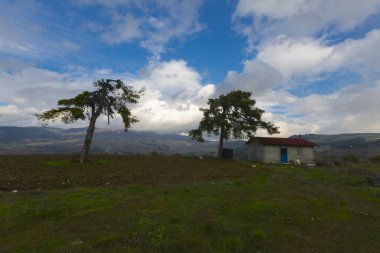 Gynk, Bolu 'nun büyüleyici bölge; Anadolu' nun eski evleri, yeşil doğası, kaplıcaları ve lezzetli mutfağıyla ziyaretçilerin sıcaklığını hissetmesini sağlar..