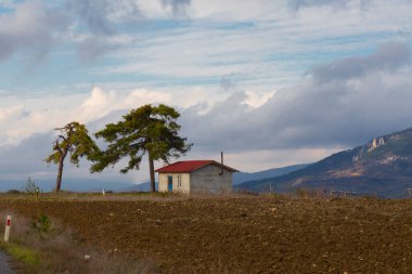 Gynk, Bolu 'nun büyüleyici bölge; Anadolu' nun eski evleri, yeşil doğası, kaplıcaları ve lezzetli mutfağıyla ziyaretçilerin sıcaklığını hissetmesini sağlar..