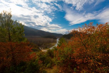 Gynk, Bolu 'nun büyüleyici bölge; Anadolu' nun eski evleri, yeşil doğası, kaplıcaları ve lezzetli mutfağıyla ziyaretçilerin sıcaklığını hissetmesini sağlar..