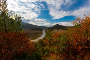 Gynk, Bolu 'nun büyüleyici bölge; Anadolu' nun eski evleri, yeşil doğası, kaplıcaları ve lezzetli mutfağıyla ziyaretçilerin sıcaklığını hissetmesini sağlar..