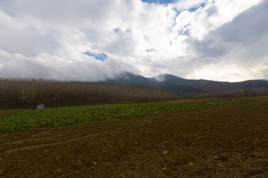Gynk, Bolu 'nun büyüleyici bölge; Anadolu' nun eski evleri, yeşil doğası, kaplıcaları ve lezzetli mutfağıyla ziyaretçilerin sıcaklığını hissetmesini sağlar..