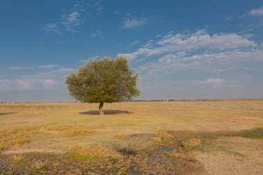 Erciyes Dağı, Orta Anadolu Bölgesi 'nde yer alan bir yanardağdır. Kayseri 'nin 25 km güneybatısındaki Sultansazl ovalardan yükselen devasa bir stratovolcano..