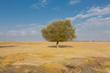 Erciyes Dağı, Orta Anadolu Bölgesi 'nde yer alan bir yanardağdır. Kayseri 'nin 25 km güneybatısındaki Sultansazl ovalardan yükselen devasa bir stratovolcano..