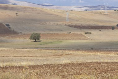 Erciyes Dağı, Orta Anadolu Bölgesi 'nde yer alan bir yanardağdır. Kayseri 'nin 25 km güneybatısındaki Sultansazl ovalardan yükselen devasa bir stratovolcano..