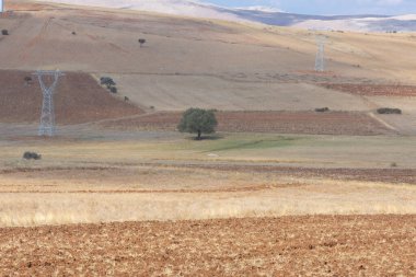 Erciyes Dağı, Orta Anadolu Bölgesi 'nde yer alan bir yanardağdır. Kayseri 'nin 25 km güneybatısındaki Sultansazl ovalardan yükselen devasa bir stratovolcano..