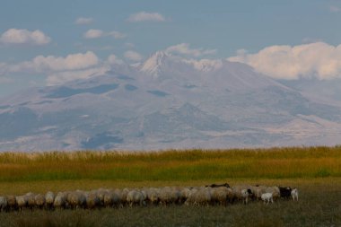 Kayseri doğal sazlıklar ve ereksiyon dağı. / Türkiye