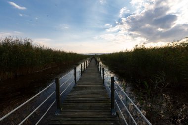 Kayseri doğal sazlıklar ve ereksiyon dağı. / Türkiye