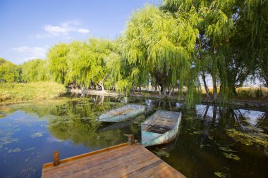 Kayseri doğal sazlıklar ve ereksiyon dağı. / Türkiye