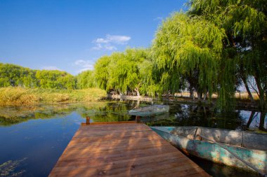Kayseri doğal sazlıklar ve ereksiyon dağı. / Türkiye