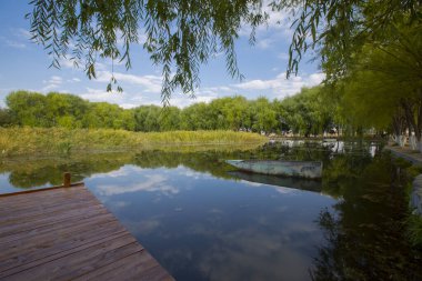 Kayseri doğal sazlıklar ve ereksiyon dağı. / Türkiye