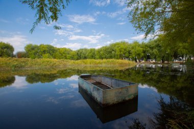 Kayseri doğal sazlıklar ve ereksiyon dağı. / Türkiye