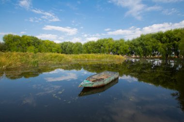 Kayseri doğal sazlıklar ve ereksiyon dağı. / Türkiye