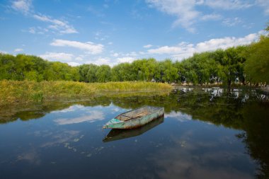 Kayseri doğal sazlıklar ve ereksiyon dağı. / Türkiye