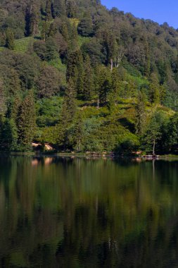 Karagl, Artvin 'in Borcka ilçesine 25-27 kilometre uzaklıkta bulunan bir heyelan gölüdür..