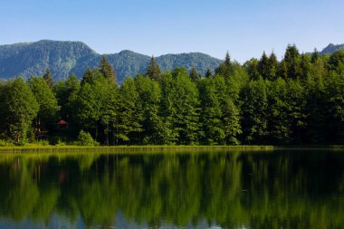 Karagl, Artvin 'in Borcka ilçesine 25-27 kilometre uzaklıkta bulunan bir heyelan gölüdür..