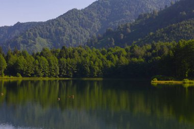 Karagl, Artvin 'in Borcka ilçesine 25-27 kilometre uzaklıkta bulunan bir heyelan gölüdür..