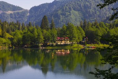 Karagol, Artvin 'in Borcka ilçesine 25-27 kilometre uzaklıkta bulunan bir heyelan gölüdür..