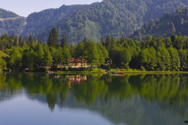 Karagol, Artvin 'in Borcka ilçesine 25-27 kilometre uzaklıkta bulunan bir heyelan gölüdür..