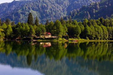 Karagol, Artvin 'in Borcka ilçesine 25-27 kilometre uzaklıkta bulunan bir heyelan gölüdür..