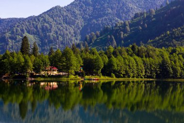 Karagol, Artvin 'in Borcka ilçesine 25-27 kilometre uzaklıkta bulunan bir heyelan gölüdür..