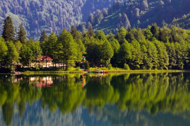 Karagol, Artvin 'in Borcka ilçesine 25-27 kilometre uzaklıkta bulunan bir heyelan gölüdür..