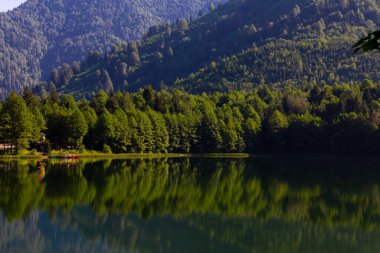 Karagol, Artvin 'in Borcka ilçesine 25-27 kilometre uzaklıkta bulunan bir heyelan gölüdür..