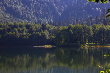 Karagol, Artvin 'in Borcka ilçesine 25-27 kilometre uzaklıkta bulunan bir heyelan gölüdür..