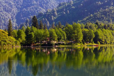 Karagol, Artvin 'in Borcka ilçesine 25-27 kilometre uzaklıkta bulunan bir heyelan gölüdür..
