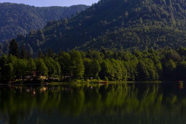 Karagol, Artvin 'in Borcka ilçesine 25-27 kilometre uzaklıkta bulunan bir heyelan gölüdür..