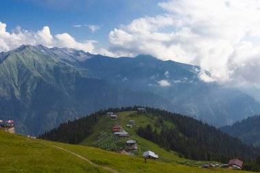 Pokut Plateau - Rize. The plateau is located in the south of amlhemin District, between the valleys formed by the Frtna and Hala streams. clipart