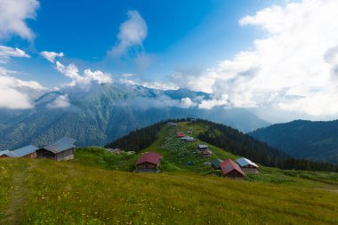 Pokut Platosu - Rize. Plato, Frtna ve Hala nehirlerinin oluşturduğu vadilerin arasında, Amlhemin Bölgesi 'nin güneyinde yer almaktadır..