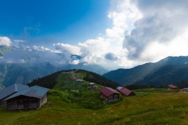 Pokut Platosu - Rize. Plato, Frtna ve Hala nehirlerinin oluşturduğu vadilerin arasında, Amlhemin Bölgesi 'nin güneyinde yer almaktadır..