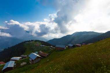 Pokut Platosu - Rize. Plato, Frtna ve Hala nehirlerinin oluşturduğu vadilerin arasında, Amlhemin Bölgesi 'nin güneyinde yer almaktadır..