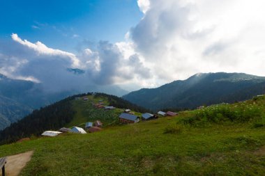 Pokut Platosu - Rize. Plato, Frtna ve Hala nehirlerinin oluşturduğu vadilerin arasında, Amlhemin Bölgesi 'nin güneyinde yer almaktadır..
