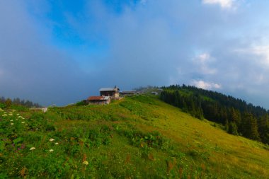 Pokut Platosu - Rize. Plato, Frtna ve Hala nehirlerinin oluşturduğu vadilerin arasında, Amlhemin Bölgesi 'nin güneyinde yer almaktadır..