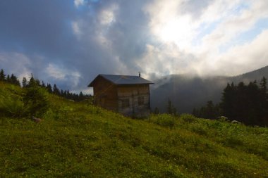 Pokut Platosu - Rize. Plato, Frtna ve Hala nehirlerinin oluşturduğu vadilerin arasında, Amlhemin Bölgesi 'nin güneyinde yer almaktadır..