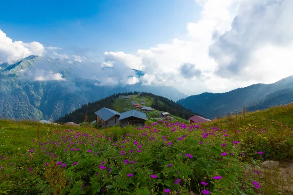 Pokut Plateau Aufstieg Das Plateau Befindet Sich Süden Des Amlhemin — Stockfoto