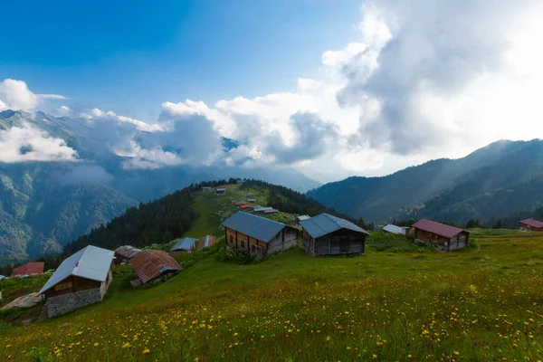 Pokut Platosu Rize Plato Frtna Hala Nehirlerinin Oluşturduğu Vadilerin Arasında — Stok fotoğraf