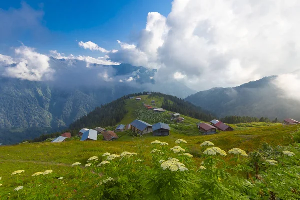 Plateau Pokut Rize Plateau Est Situé Sud District Amlhemin Entre — Photo