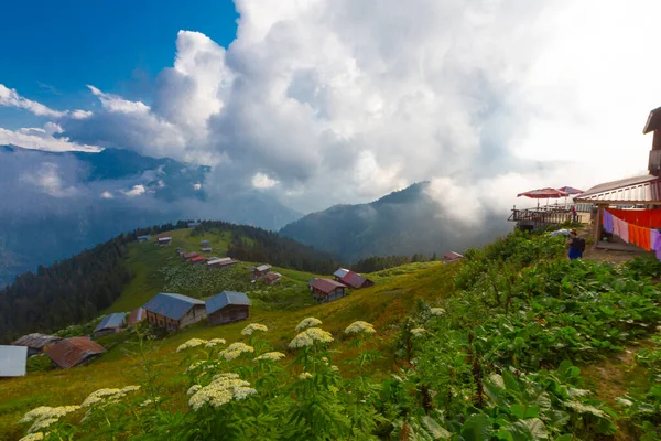 Plateau Pokut Rize Altopiano Trova Nel Sud Del Distretto Amlhemin — Foto Stock