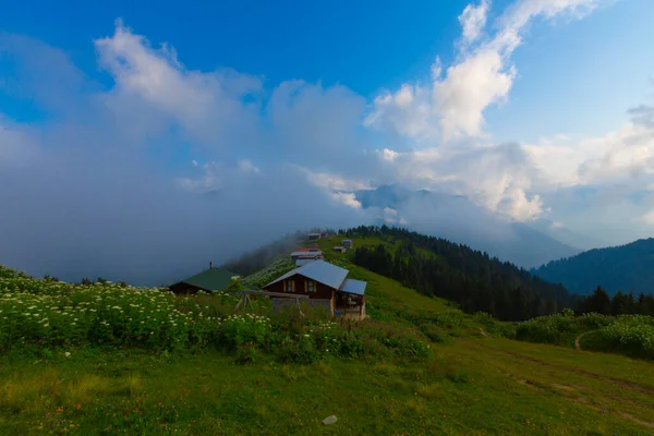 Plateau Pokut Rize Plateau Est Situé Sud District Amlhemin Entre — Photo