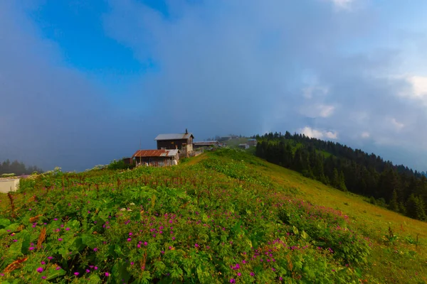 Pokut Plateau - Rize. The plateau is located in the south of amlhemin District, between the valleys formed by the Frtna and Hala streams.