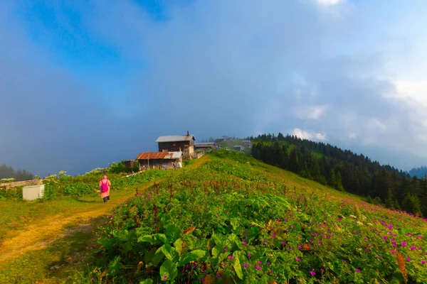 Plateau Pokut Rize Plateau Est Situé Sud District Amlhemin Entre — Photo