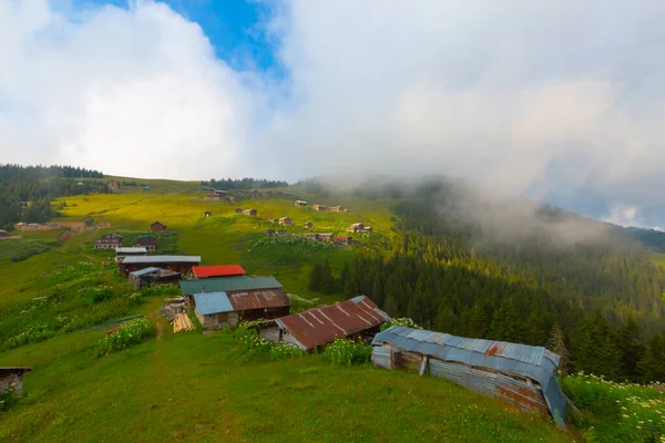 Plateau Pokut Rize Altopiano Trova Nel Sud Del Distretto Amlhemin — Foto Stock