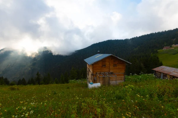 Pokut Plateau Aufstieg Das Plateau Befindet Sich Süden Des Amlhemin — Stockfoto