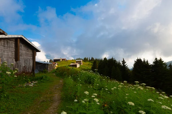 Plateau Pokut Rize Plateau Est Situé Sud District Amlhemin Entre — Photo