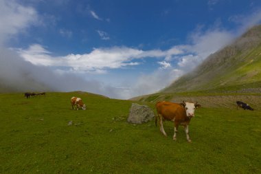 Kakar Mountains National Park and plateaus ..