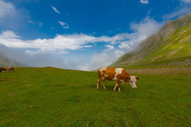Kakar Mountains National Park and plateaus ..