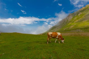 Kakar Mountains National Park and plateaus ..